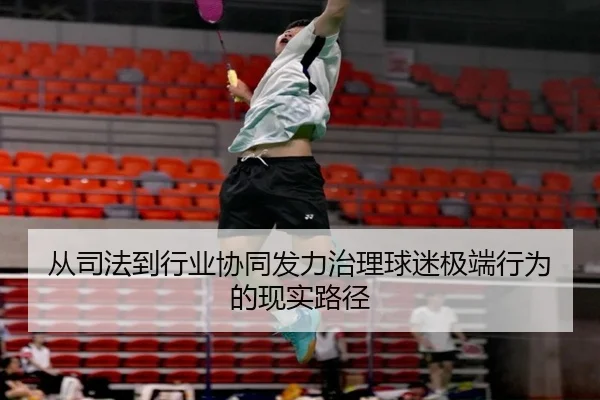 从司法到行业协同发力治理球迷极端行为的现实路径